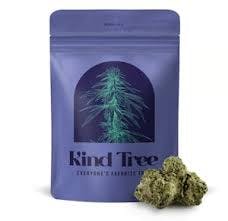 Kind Tree Loud Cake Littles