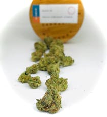 Nature's Heritage Guava IX