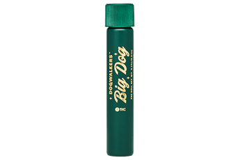 Dogwalkers Big Dog Brownie Scout PRJ