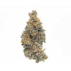 gLeaf Monkey Berries