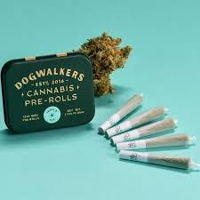 Dogwalkers Afternoon Delight #4 (5pk) PRJs