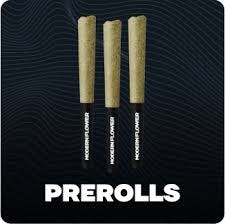 Modern Flower White 99 (2pk) PRJs