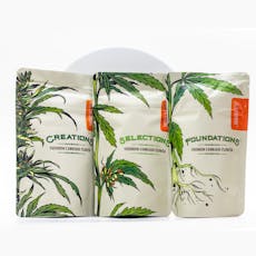 Evermore Midnight Circus