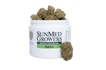 SunMed Banana Puddintain - 3.5g - House Packed