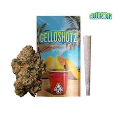 Seed Junky | Gello Shotz (S) 1g Pre Roll Joint