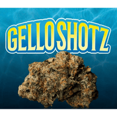 Seed Junky | Gello Shotz (S) 14g Smalls