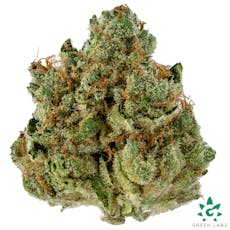 (REC) Angelica Buds - Dutch Touch Genetics