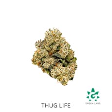 (REC) Thug Life Buds - Dutch Touch Genetics