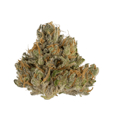 (REC) Crunchberries #3 Buds 1 Oz Bag - Dutch Touch Genetics