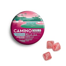 Camino | Watermelon Spritz Sour Gummies | Uplifting | 100mg