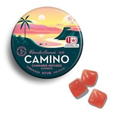 Camino Gummy Bliss Watermelon Lemonade 100mg