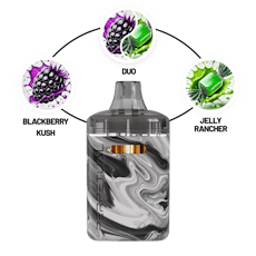 Disposable | Hella Jelly & Blackberry Kush Dual Vape Cartridge | 2g | Perpetual