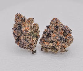 SG - 100 K - Deli Style Flower