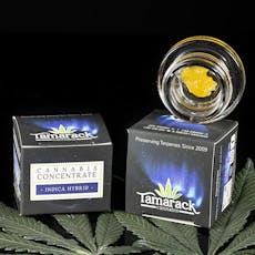 .5G LIVE SUGAR - Flathead Funk