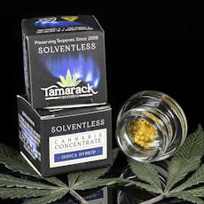 1G LIVE ROSIN - Honey Banana