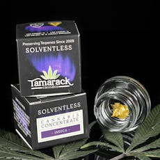 1G LIVE ROSIN - Papaya