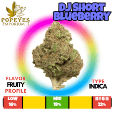 DJ Short Blueberry