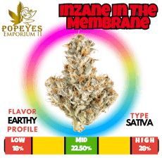 Inzane In The Membrane
