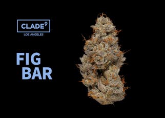Fig Bar | 3.5g