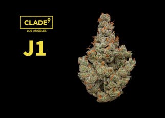 J1 | 3.5g
