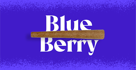 Doinks - Blueberry - Single Infused Blunt - 1g