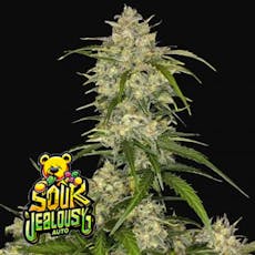 420FastBuds 5pk Seeds