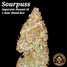 Waffle House Genetics 10pk Seeds - Sourpuss (REG)