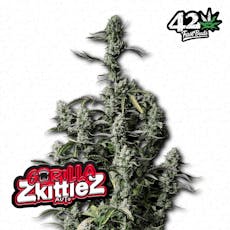 420FastBuds 5pk Seeds
