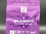 Wild Berry Gummies(100mg | Hybrid)