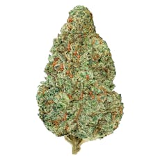 Back Forty - Chemzilla - 14g