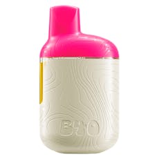 Back Forty - Watermelon Ice Disposable Pen - 0.95g - AIO