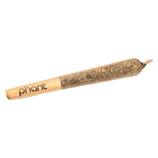 Phant - Orange Cream Diamond Infused Pre-Roll - 1x1g