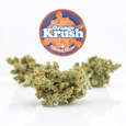 Orange Krush | Indica