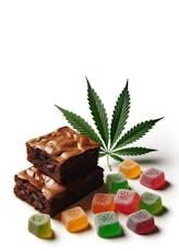 THE HAZY CAMPER - WILD RASPBERRY THC ORGANIC DARK CHOCOLATE - 5.5 GRAM