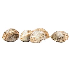 GREAT GARDENER FARMS - CBD RENE FEMINIZED SEEDS - 5 EACH