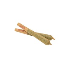 GOOD BUDS - MANGO CAKE PRE ROLLS - 1 GRAM