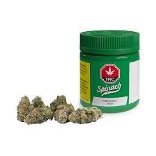 SPINACH - GMO COOKIES - 14 GRAM