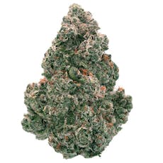 Back Forty - Liquid Imagination - 7g Hybrid Whole Flower