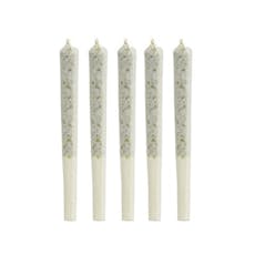 1964 - ORGANIC COMATOSE PRE-ROLLS - 2.5 GRAM