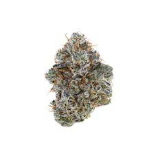 TRIBAL - NEON SUNSHINE - 3.5 GRAM