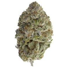 SHEEESH! - BLUEFIN TUNA - 3.5 GRAM