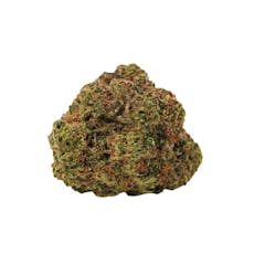 BOLD - COOL AID KUSH - 3.5 GRAM