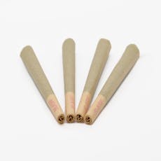 Original Glue Pre-Roll