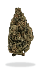 Joi | Orange Kush Cake | 14g