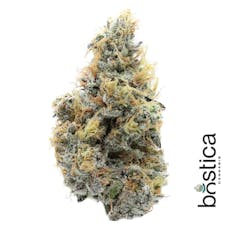 Bostica - Peanut Butter Breath Flower