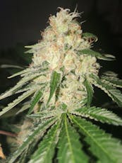 Dante's Inferno | Tier 3