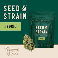 GSC | Seed and Strain