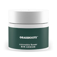 Peanut Butter Muffin