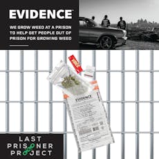 EVIDENCE Granny Candy