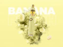Banana Punch 2G All In One Device
